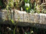 image of grave number 949441